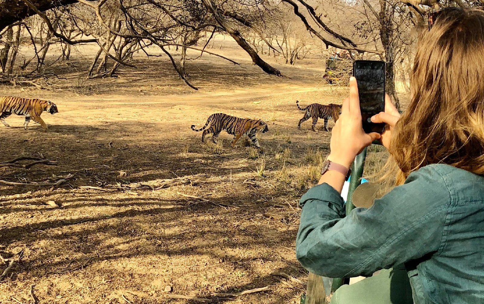 Same-day Trip To Ramthambore Tiger Reserve