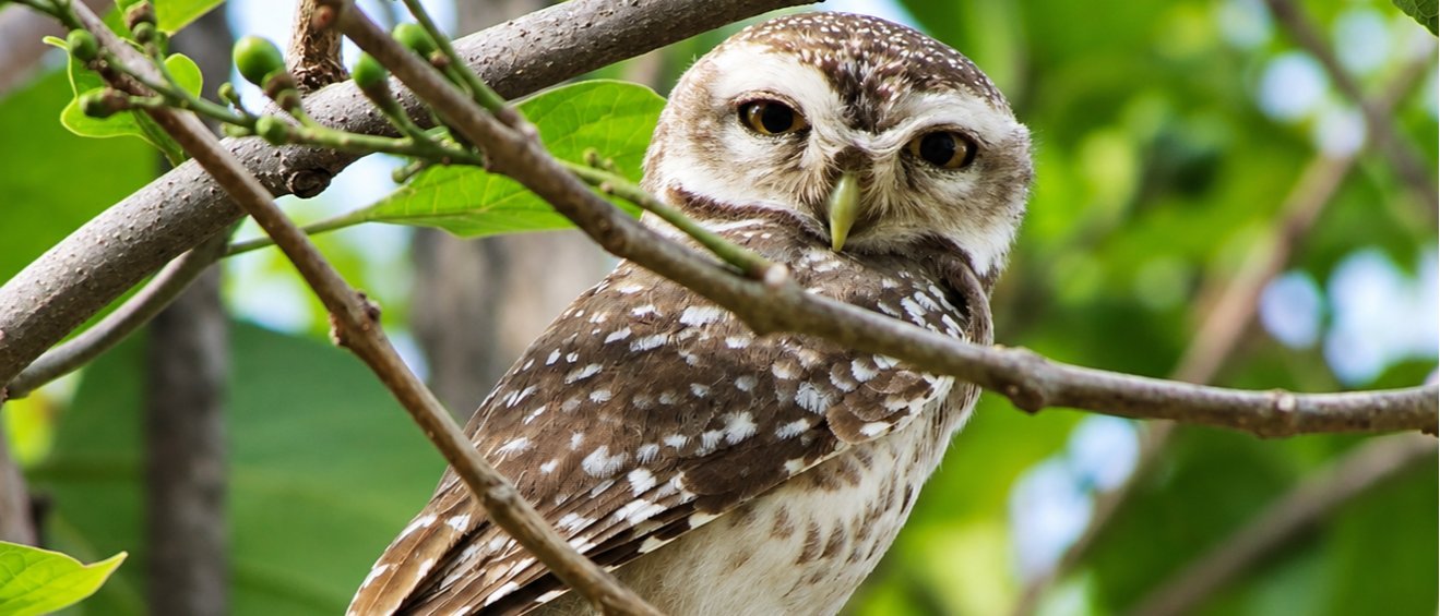 Same-Day Tour to Bharatpur & Deeg - Offbeat Day Trip from Jaipur