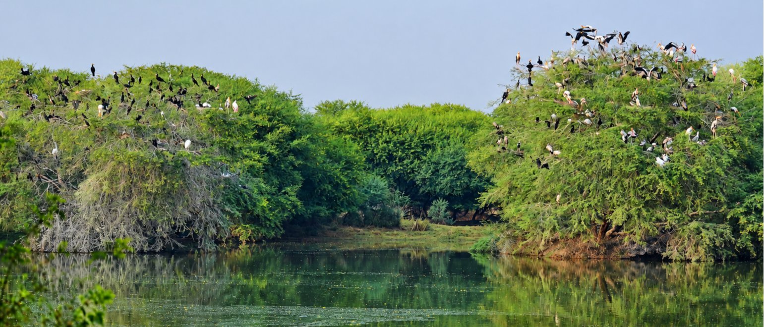 Same-Day Tour to Bharatpur & Deeg - Offbeat Day Trip from Jaipur