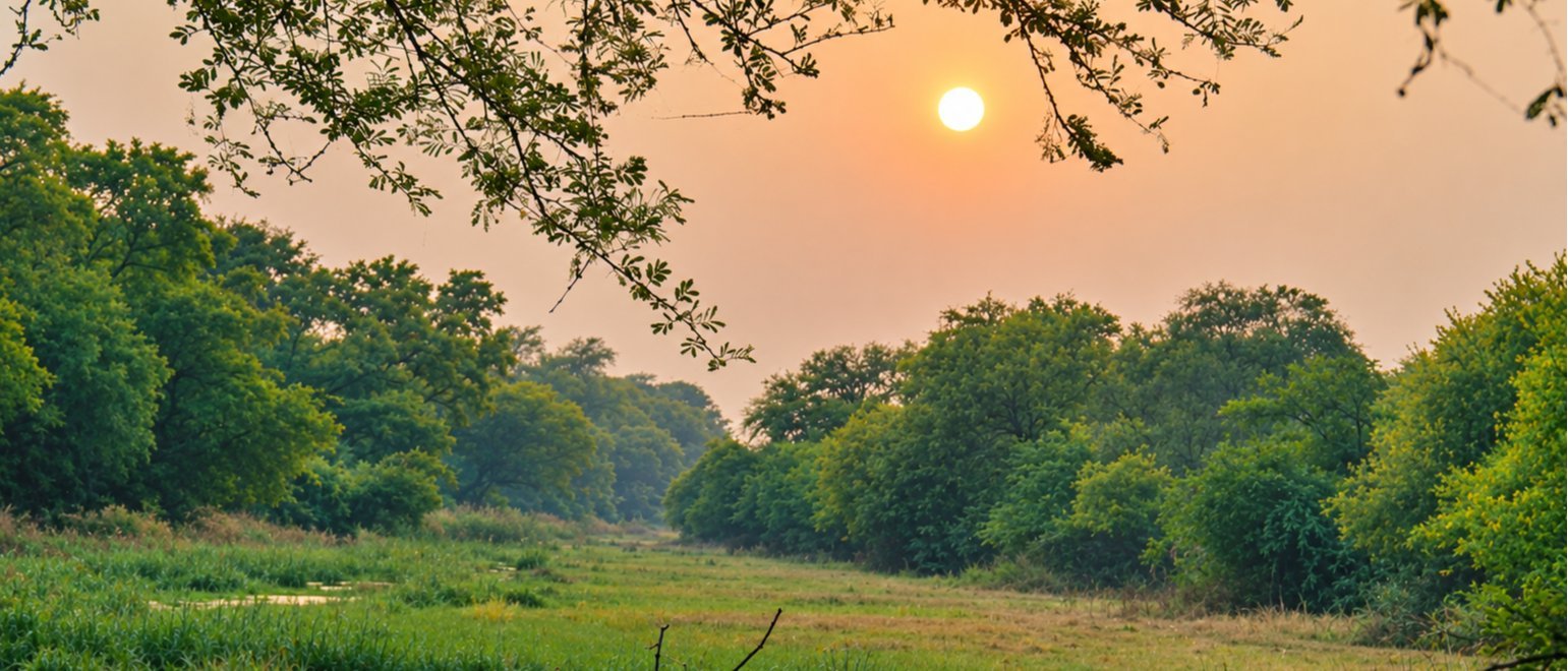 Same-Day Tour to Bharatpur & Deeg - Offbeat Day Trip from Jaipur