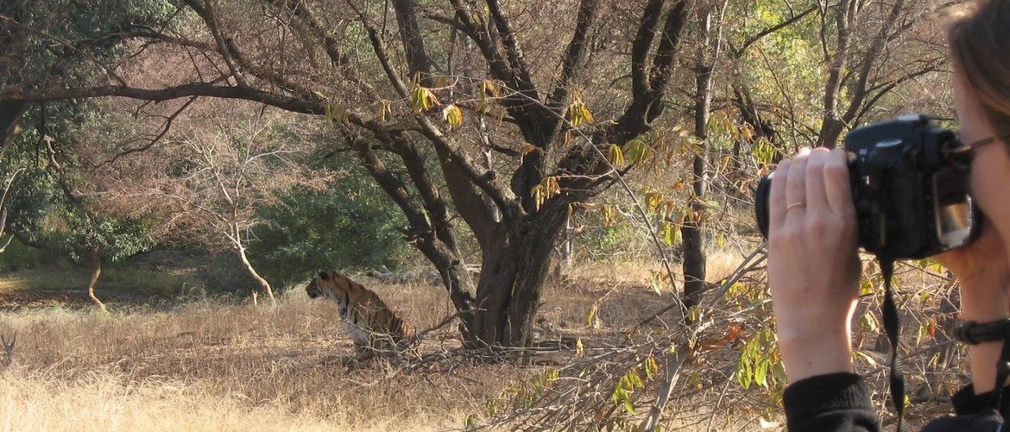 Private Sariska Tiger Safari - Same-Day Tour from Jaipur by Private Jeep