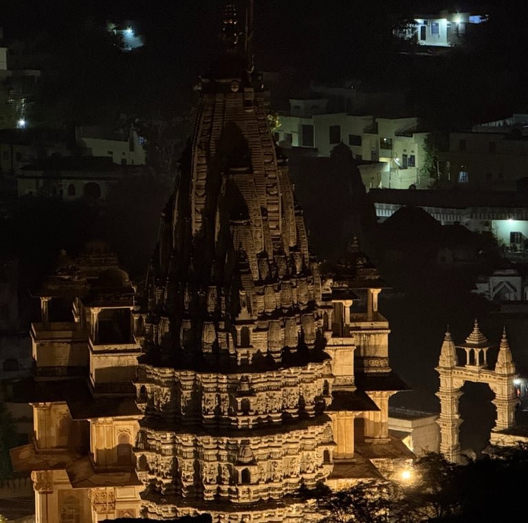 Jaipur Night Safari Tour