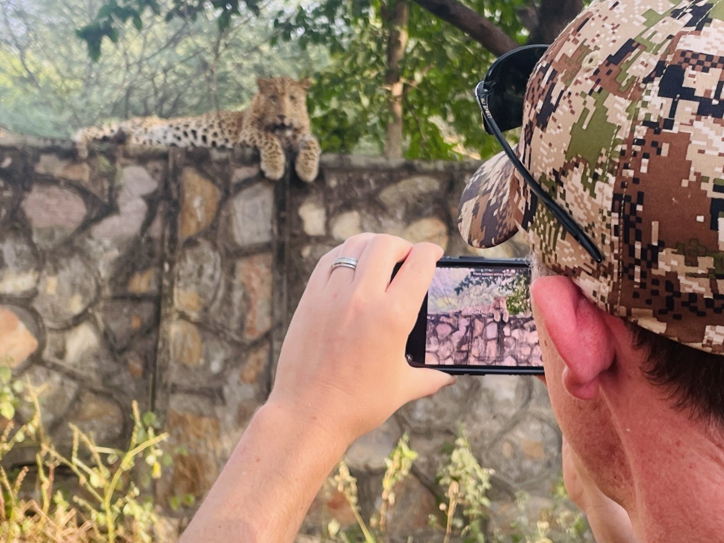 Jaipur Leopard Safari at Jhalana - The Ultimate Urban Wilderness