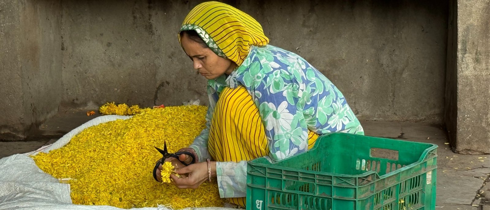 Real Jaipur Morning Walk - Flower Market, Chai & Temple