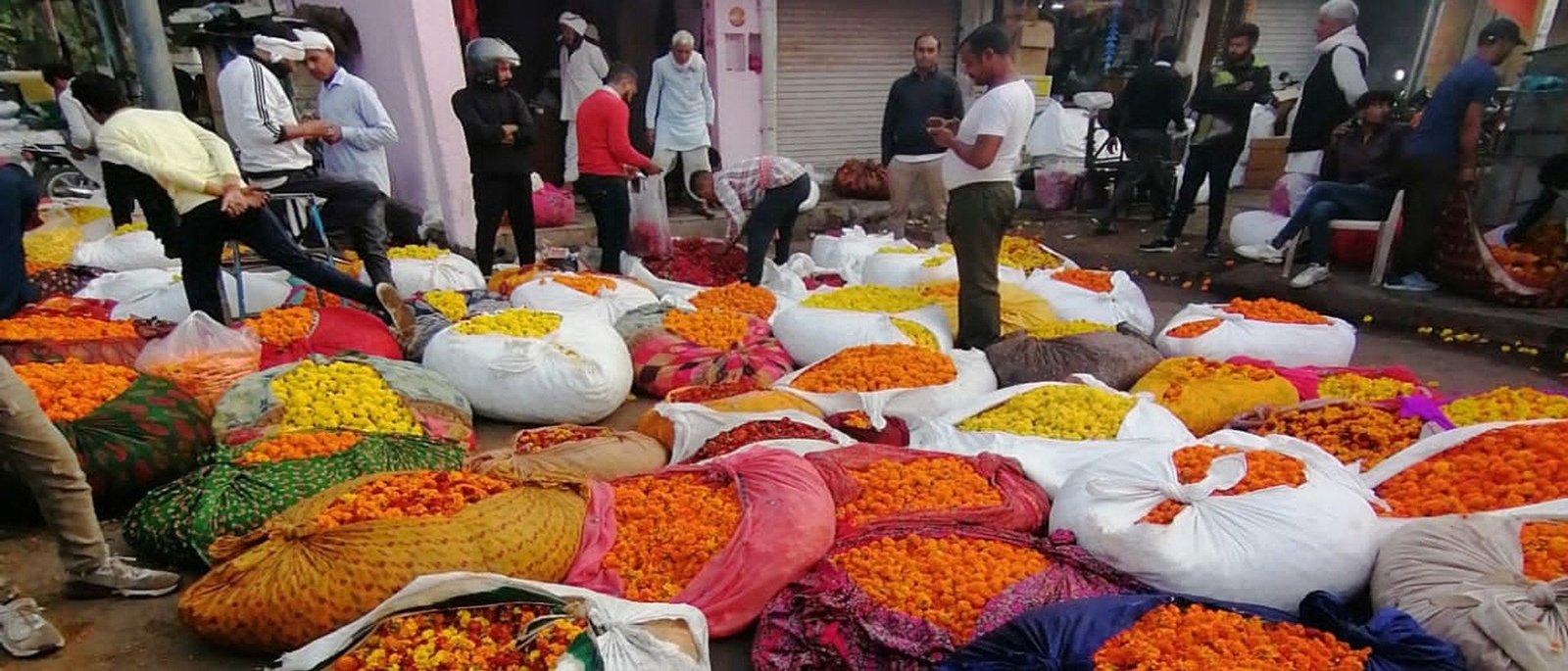 Real Jaipur Morning Walk - Flower Market, Chai & Temple