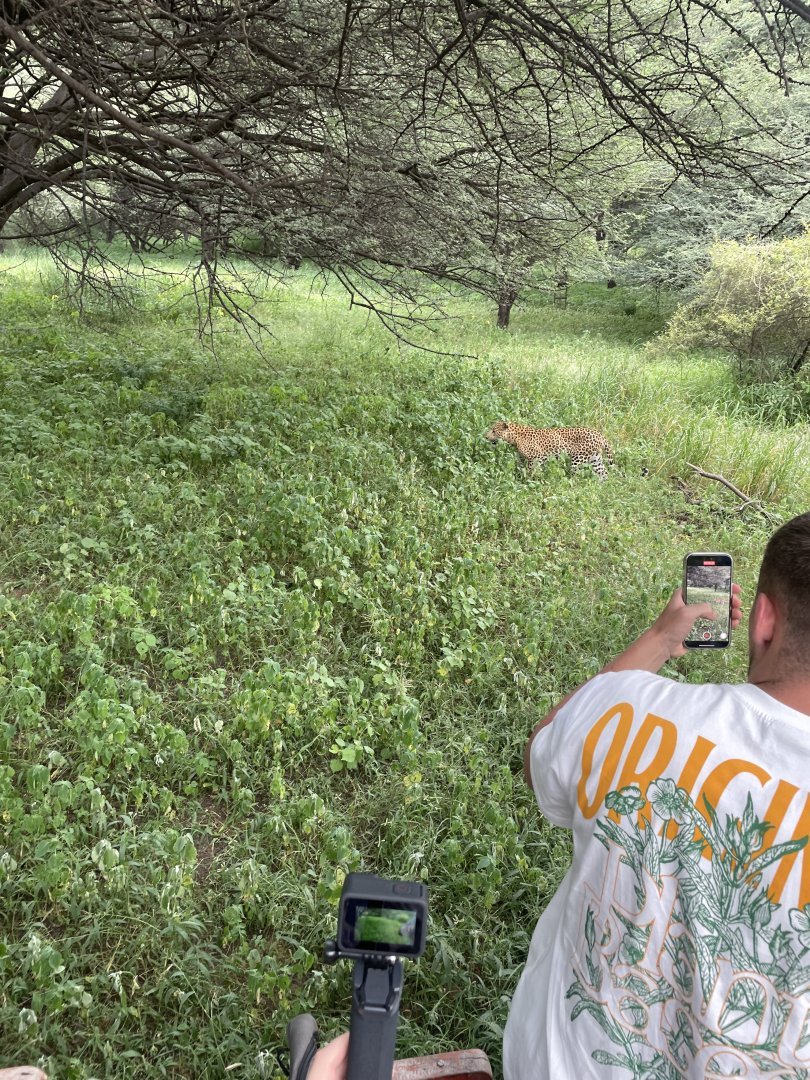 Jaipur Leopard Safari at Jhalana - The Ultimate Urban Wilderness