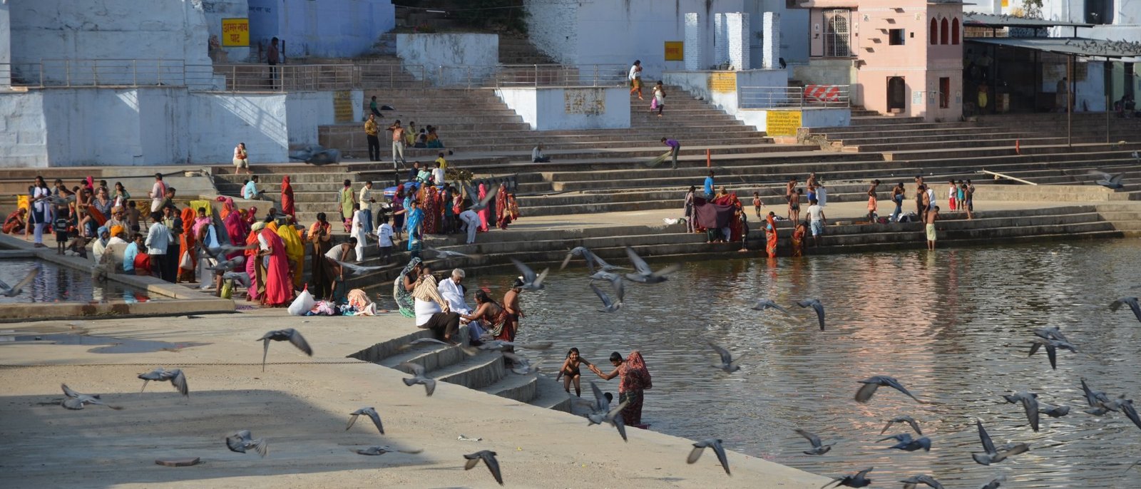 The Holy Lake & The Desert Mirage - 1 Night / 2 Days | Pushkar via Roopangarh & Sambhar